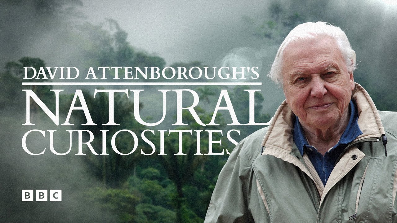 David Attenborough's Natural Curiosities | BBC Select